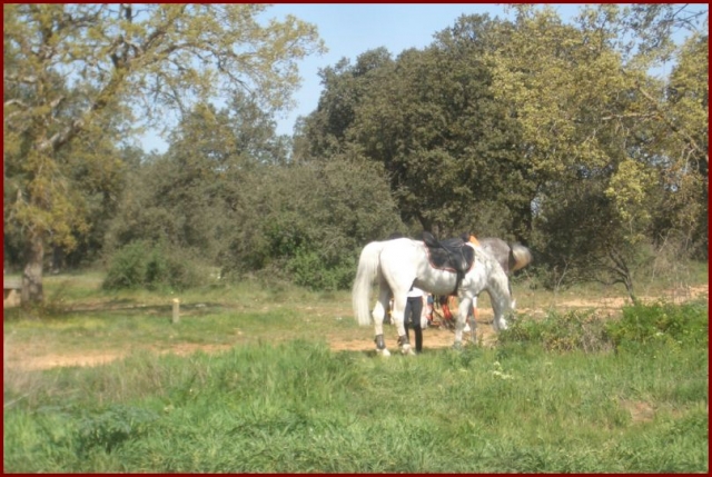 Excursiones a caballo